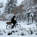 O‘zbekistonda anomal sovuq qancha davom etishi aytildi