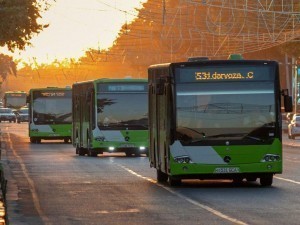 Bayram kunlarida Toshkentda avtobuslar harakati tartibi qanday bo‘ladi?