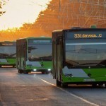 Bayram kunlarida Toshkentda avtobuslar harakati tartibi qanday bo‘ladi?