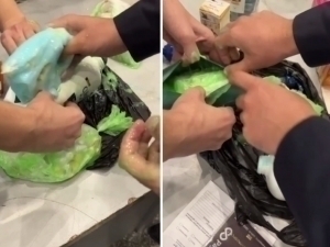 Dental fillings hidden in shampoo were discovered at airport (video)