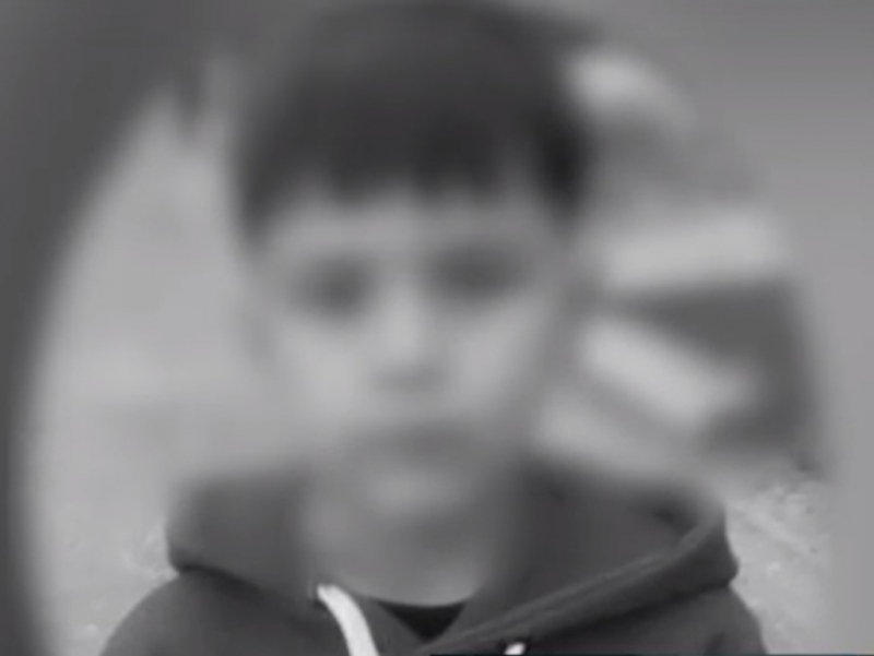 Toshkent viloyatida daydi itlar yosh bolani talab o‘ldirdi