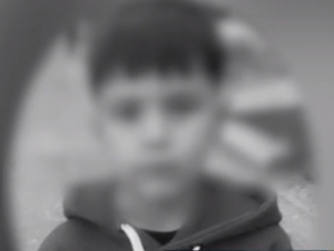 Тошкент вилоятида дайди итлар ёш болани талаб ўлдирди